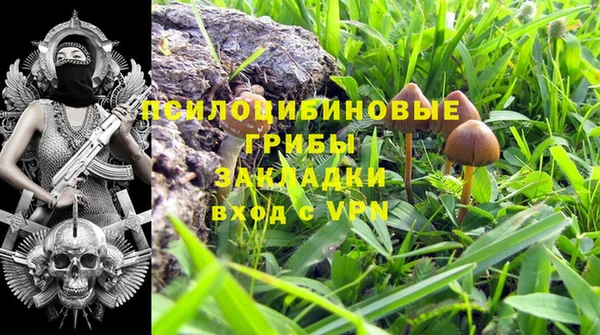 таблы Алексин