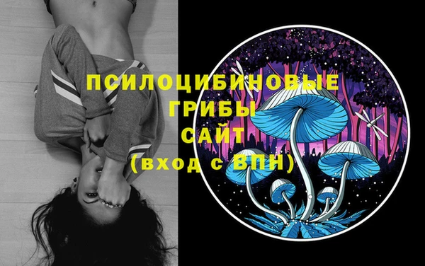таблы Алексин